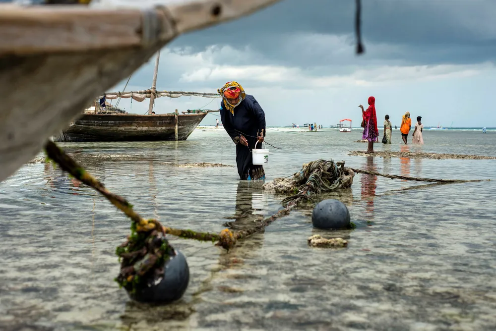 Det er ingen grunn til å tro at befolkningen i land som Honduras får det bedre om Norfund (og andre utviklingsinvestorer) trekker seg helt ut. Foto: NurPhoto via Getty Images
