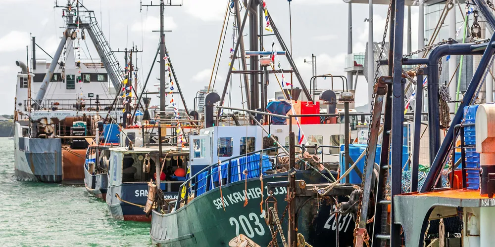 The New Zealand commercial fishing and processing sector employs more than 13,000 workers.