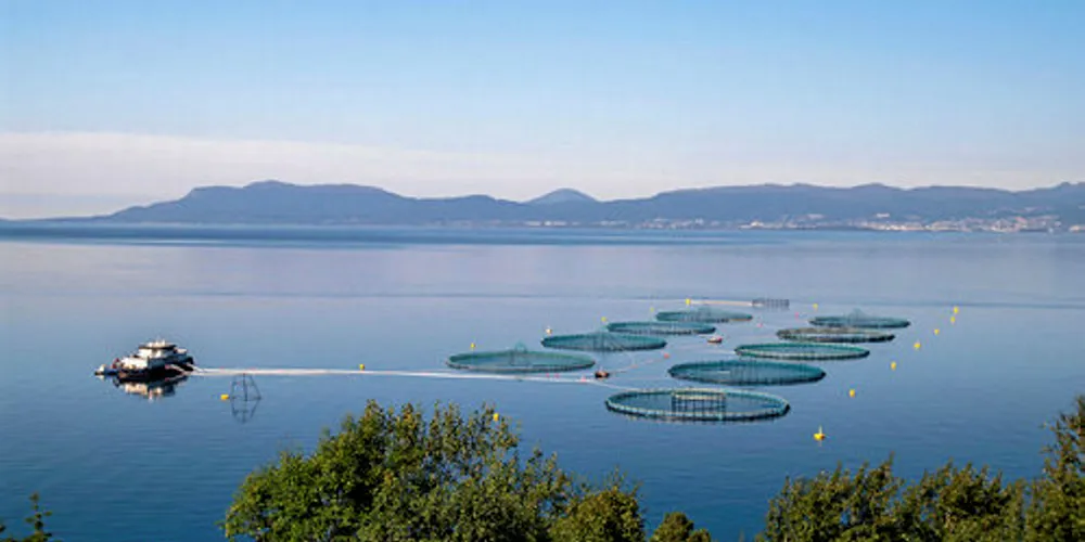 BluWrap's shelf-life-extending technology has been used by Chilean salmon producers.