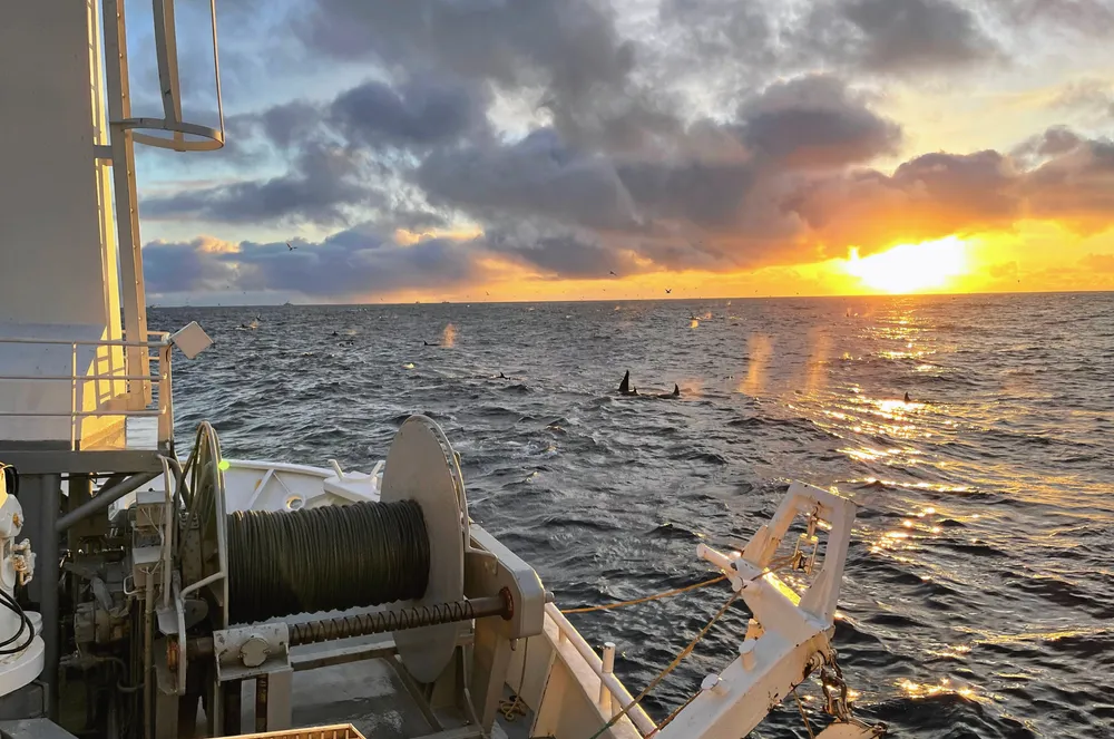 Spekkhogger-syn fra fiskebåten «Skolmen».