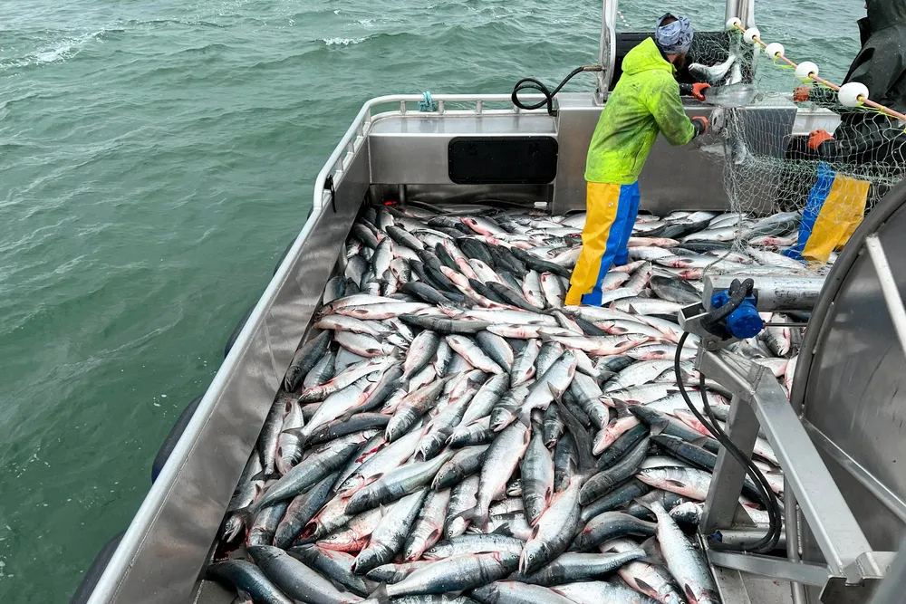 If approved, the legislation would permit land-based finfish farming. It would, however, prohibit the farming of pink, chum, sockeye, coho, chinook and Atlantic salmon.