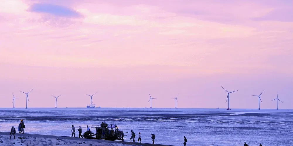 Intertidal project in neighbouring China