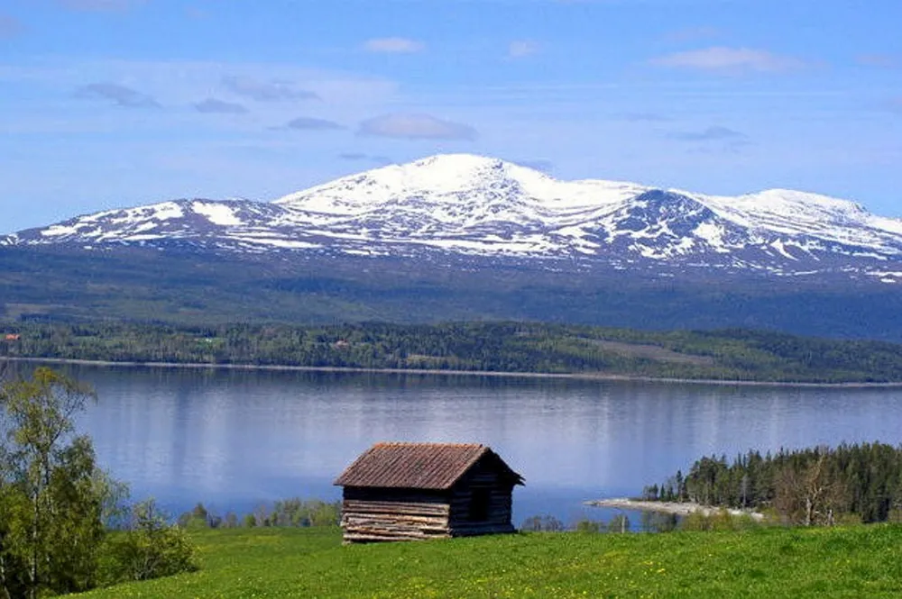An estimated 80 percent of Sweden's pelagic stock goes to other countries or is used for other purposes than human consumption.