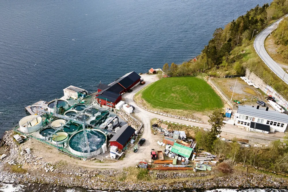 Salmon Evolution is planning to produce 100,000 metric tons at its Indre Haroy facility in western Norway.