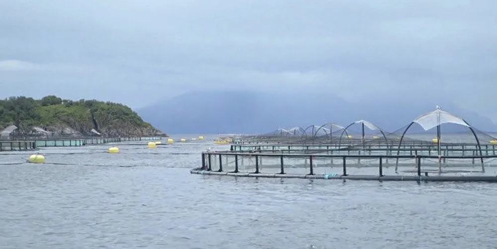 "There is big resistance to farming in open cages in Iceland, but also supporters, especially in areas that have benefited from more jobs, " the Norwegian embassy in Iceland said.