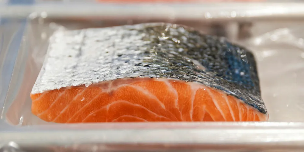 Lower salmon prices sank Camanchaca Q2 numbers.