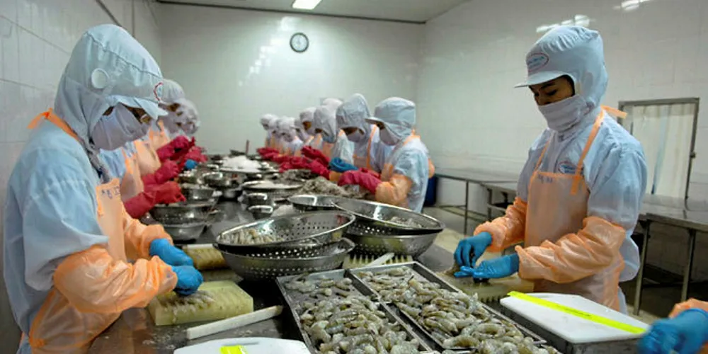 Workers on a processing line in Vietnam.