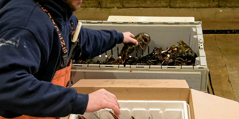 Maine Coast: Packing for new destinations.