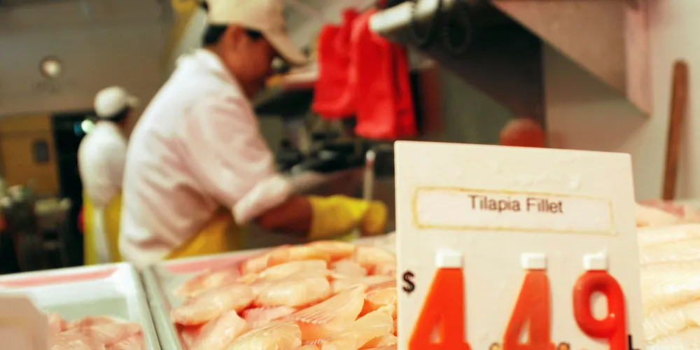 Farmed tilapia fillets at fresh fish counter.