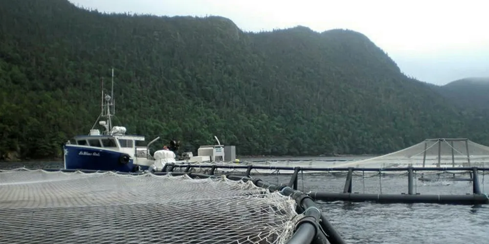 Northern Harvest has had several licenses suspended in 2019 following a massive fish die-off.