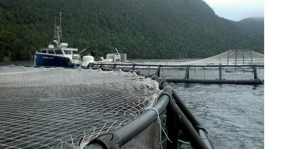 Northern Harvest has had several licenses suspended following a massive fish die-off.