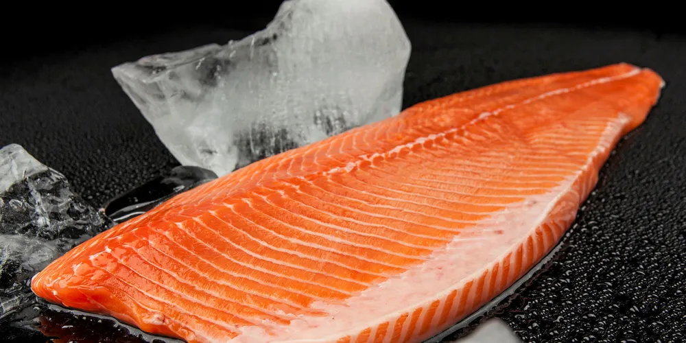 Estonian seafood group sees earnings plummet