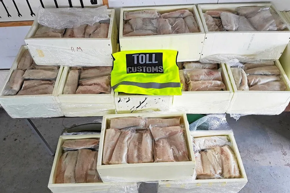 Vi må få på plass strengere reguleringer og kontroller for å sikre at turistfisket ikke skader vår bærekraftige forvaltning av fiskebestandene.