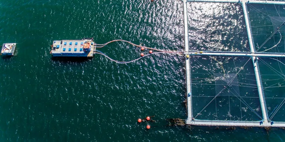 Camanchaca, BioMar and Skretting have agreed to step up their game on sustainability.