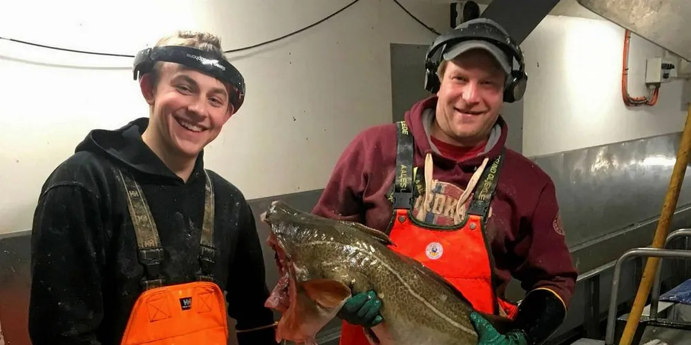 ARBEID: Hans Tangen og Hans Christian Westergård i produksjonen på «Atlantic» kan glede seg over gode fangster. Her med en stor torsk som er perfekt for klippfisk.Foto: Privat