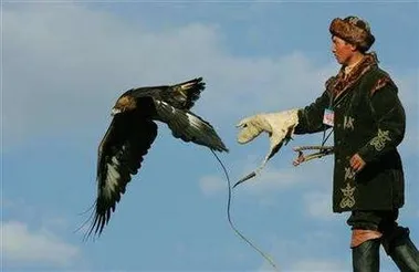 Set free: a hunter releases a golden eagle during a hunting festival in Kazakhstan. Photo: REUTERS/Shamil Zhumatov