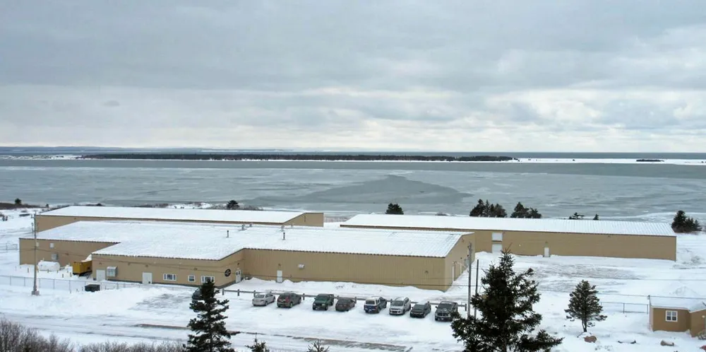 Mowi's Northern Harvest hatchery in NL has culled hundreds of thousands of fish due to confirmed ISA.