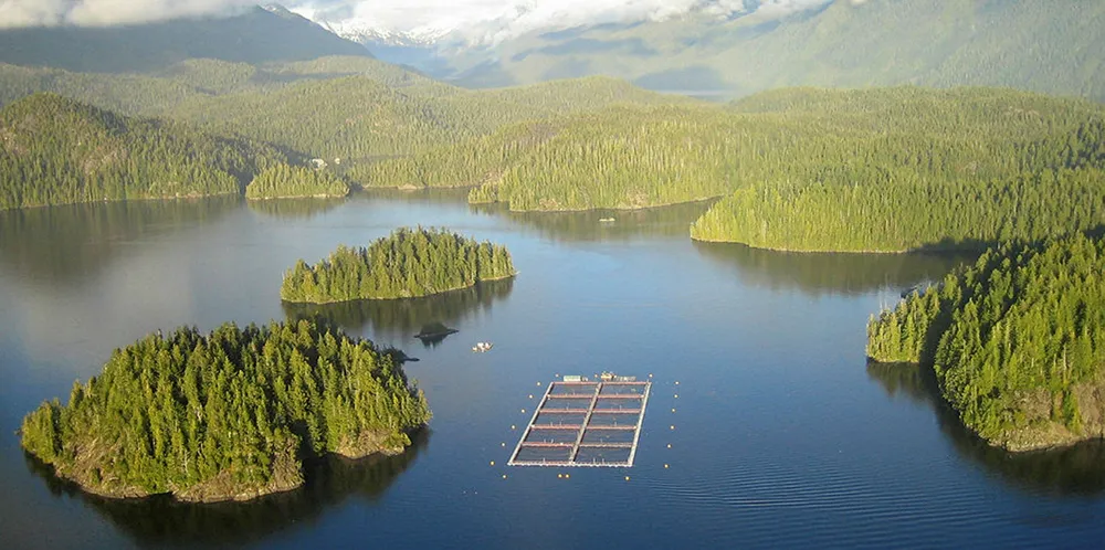 Closed for business? Justin Trudeau's Liberal Party wants netpen salmon farms shuttered by 2025, in favor of land-based salmon farms.