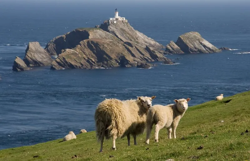 Award: West of Shetland for EPC