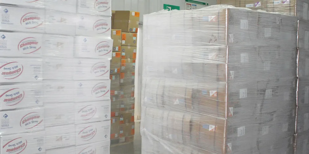 Ecuador shrimp: Ready for export