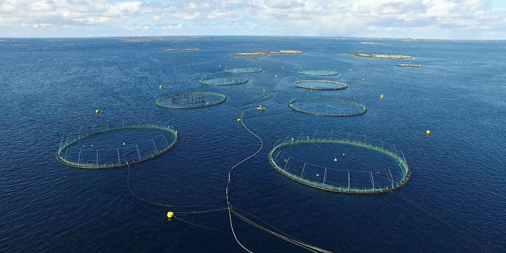 Et oppdrettsanlegg består av flere merder, som igjen består av blant annet en flytekrage med hoppegjerde (over vann) og ei not (under vann). På bildet ser vi også fôrslanger, som kommer fra en fôrflåte (ikke synlig på bildet).