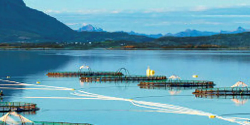 Cermaq is making production site locations the focus of its new marketing drive.