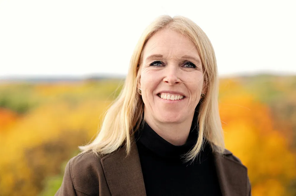 Seksjonssjef Maren Aschehoug Esmark i NVE mener at de skal fikse den nye oppgaven med de midlene de har.