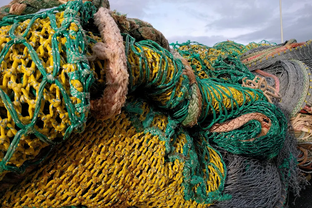 Mike Cohen, CEO of the National Federation of Fishermen's Organisations, said the UK government's proposed extension of bottom trawling bans will "hurt UK fisheries".
