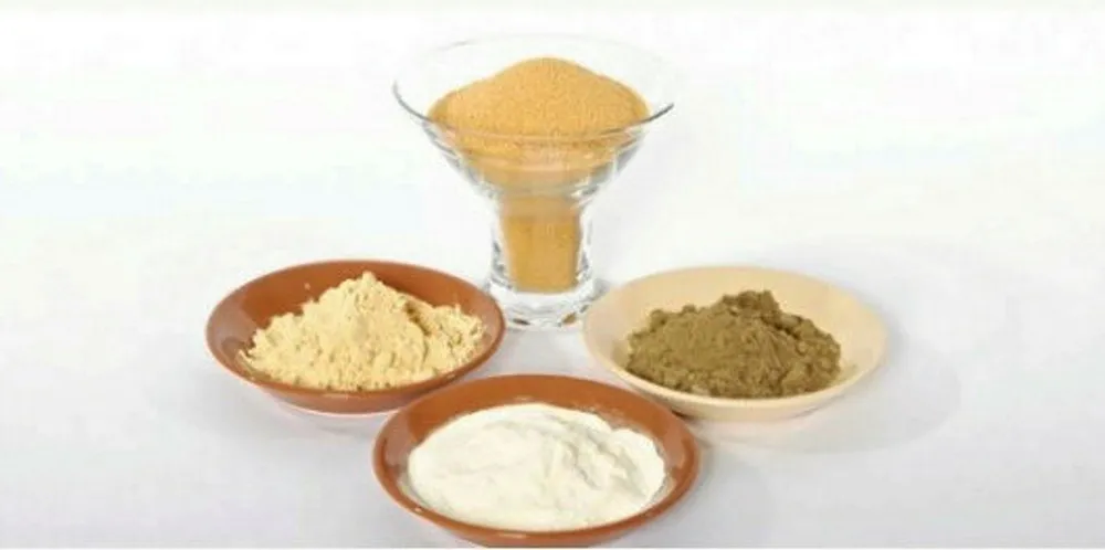 Biomega produces salmon oils, salmon powder and salmon peptides, which can be used for many different applications within nutraceuticals, food and pet food.
