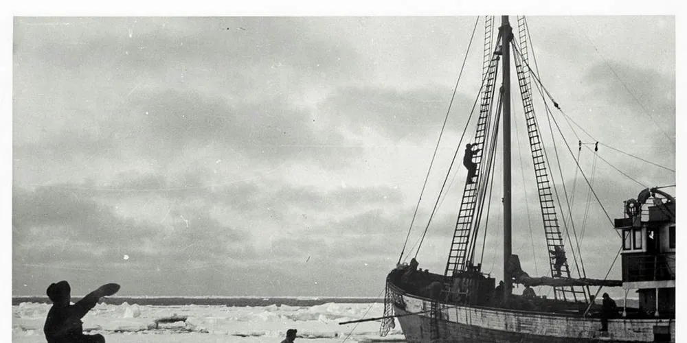 Nå kan du se egen utstilling om norsk selfangst ved Norges Fiskerimuseum i Bergen, som har lånt ut dette bildet fra utstillingen. Noen som drar kjensel på fartøyet?Foto: Utlånt fra Norges Fiskerimuseum