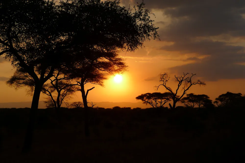 Tanzania: Aminex is planning to spud an appraisal well before the end of the year