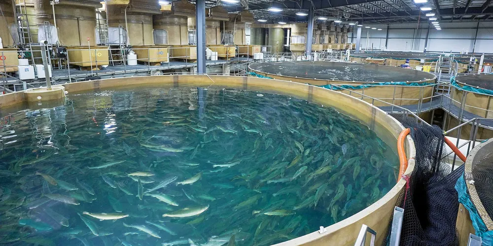 Last month, AquaBounty announced it was pausing construction of its land-based salmon farm in Pioneer, Ohio, because of a substantial increase in the estimated cost of its completion.