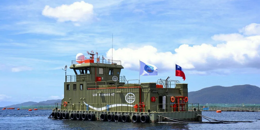 Los Fiordos has potential to increase its production to 100,000 tons of salmon a year in the long term, up 66% from its current volumes of 60,000 tons, in an era in which organic growth in regions X and XI is practically impossible.