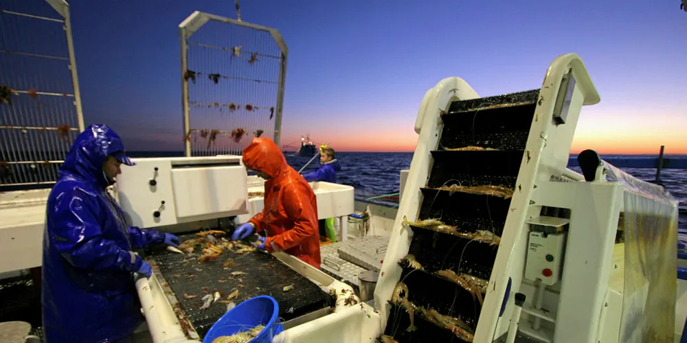 South Australia's prawn fishery.