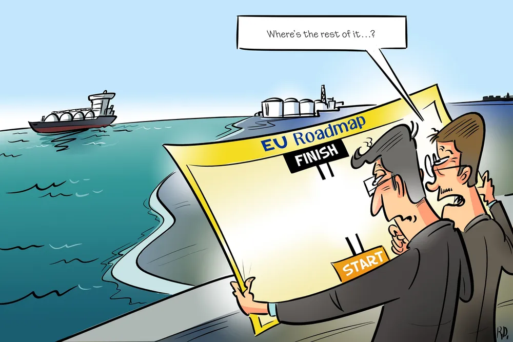 Delegates at this year's Flame conference were hoping for more detail on the EU's roadmap to phase out imports of Russian gas.