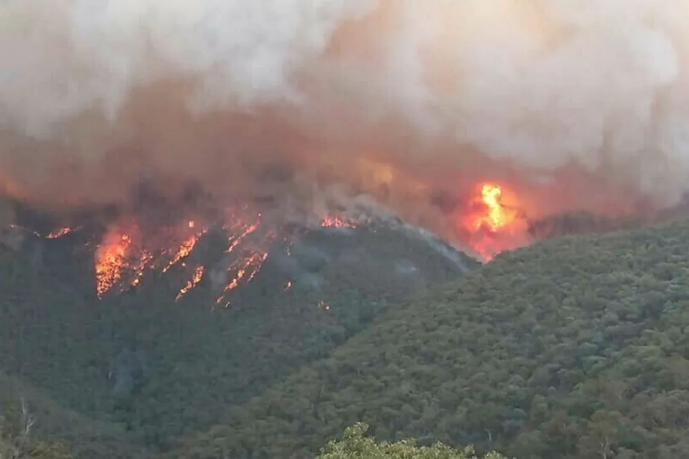 Fires: more than 800,000 hectares have been burned in the East Gippsland area of Victoria