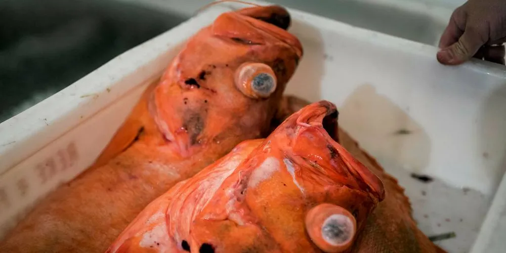 EIT HERREMÅLTID: – Gje oss fisk som smakar fisk, om enn salta både godt og lenge. Råstoffkvaliteten skal ingen kunne lure oss på, skriv Øystein Sandøy.Foto: Skjalg Bøhmer Vold