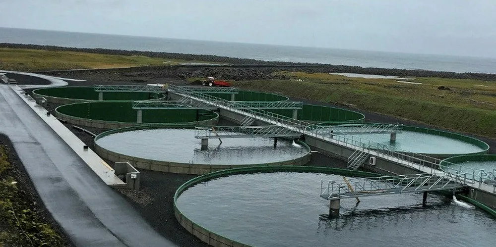 Samherji farms char and salmon in Iceland.