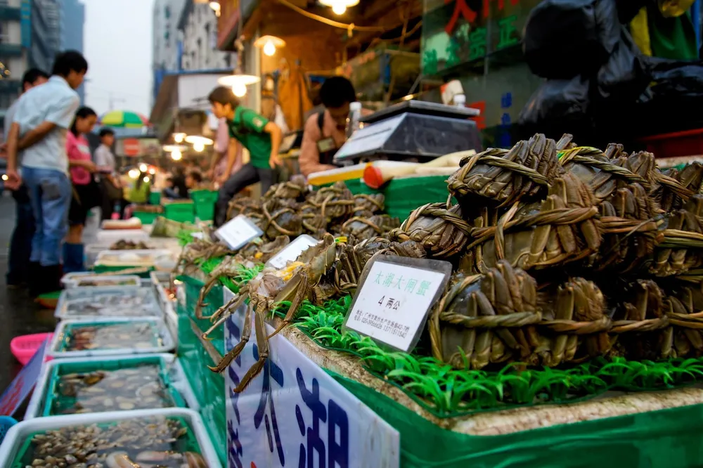 Huangsha Seafood Market, Guangzhou, China.