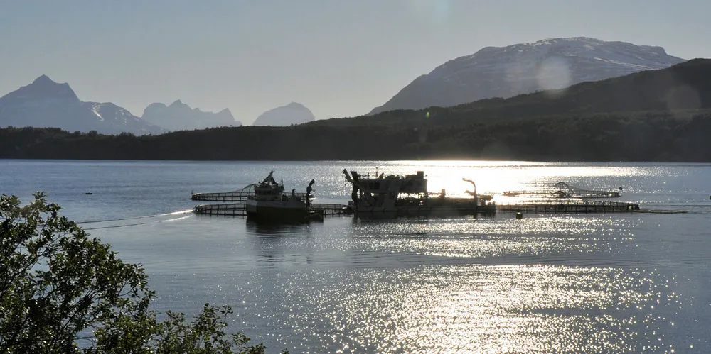 Matproduksjon i sjø: Mowi-lokaliteten Kalvik i Leifjorden i Sørfold kommune i Nordland.
