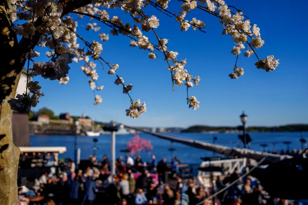Lekter'n på Aker Brygge er et populært sted å henge på 17. mai.