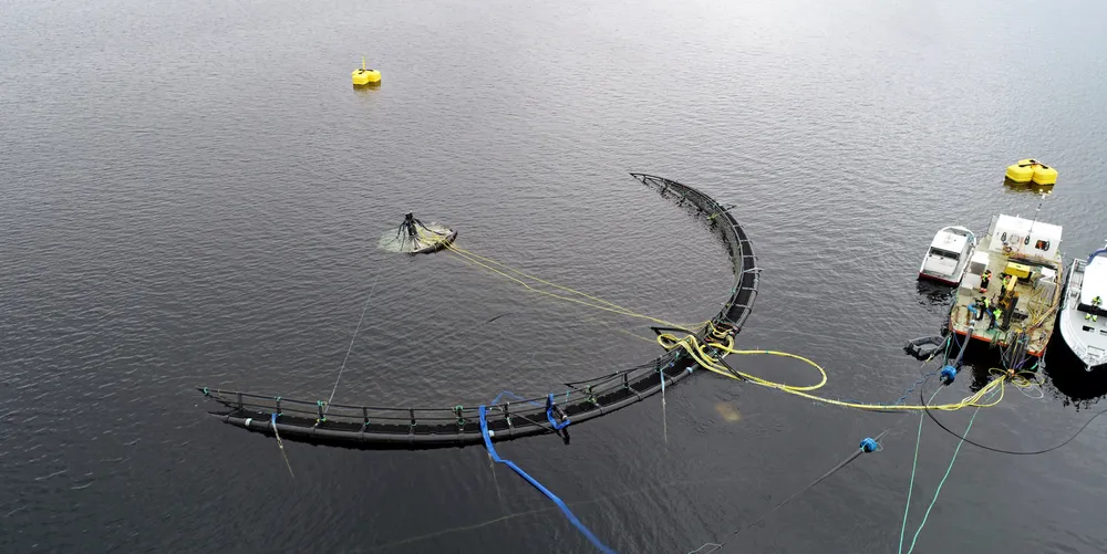 Norway's Directorate of Fisheries has decided that Atlantis Subsea Farming's development license can be converted to an ordinary operating licence.