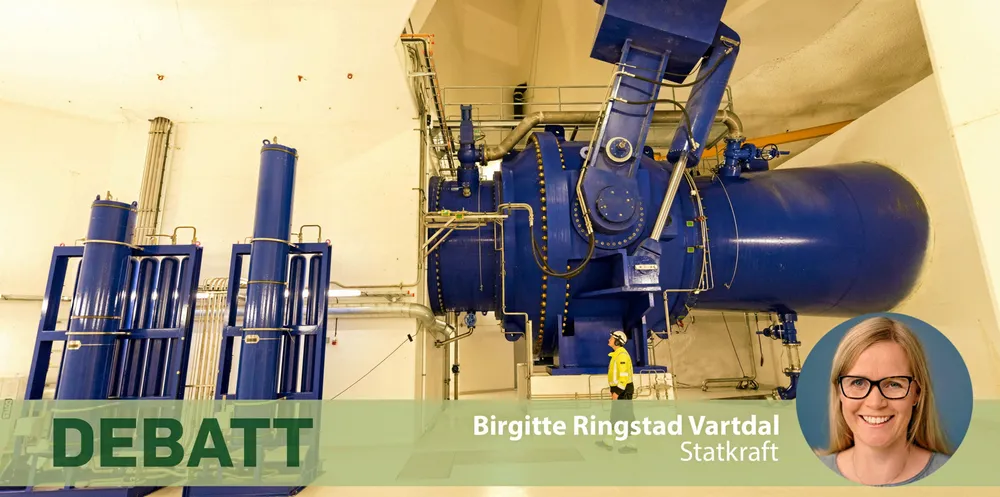 Nye Nedre Røssåga kraftstasjon (bildet) er eksempel på en stor investering i ny kapasitet drevet frem av behov for å erstatte eller avlaste et eldre verk.