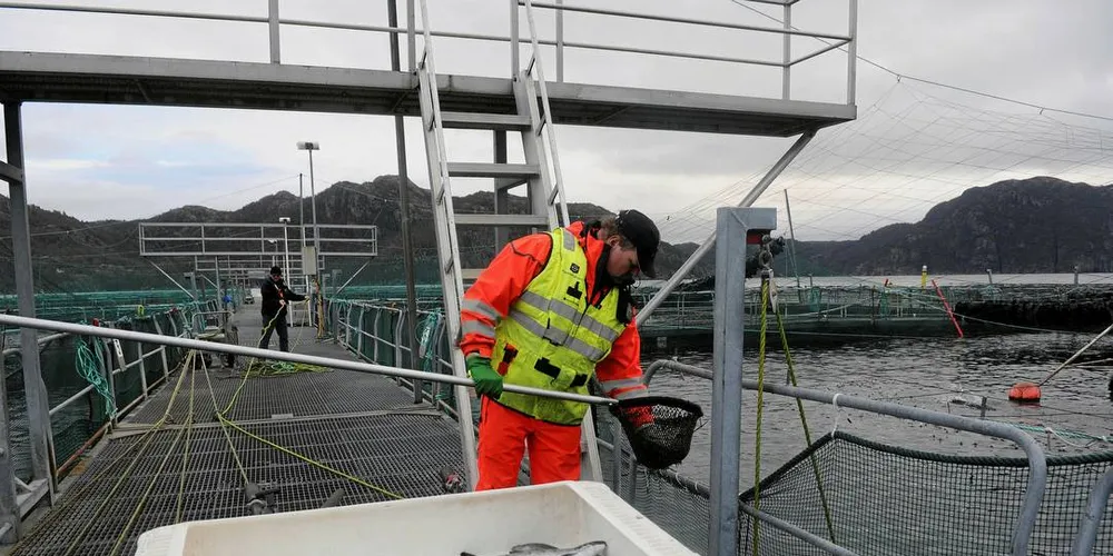 UKLART: Ved etablering av akvakulturlokaliteter er spørsmålet her hva som er kommunens ansvarsområde. Her er driftstekniker Sigbjørn Loug ved Marine Harvest i Flekkefjord. Foto: KJERSTI KVILE