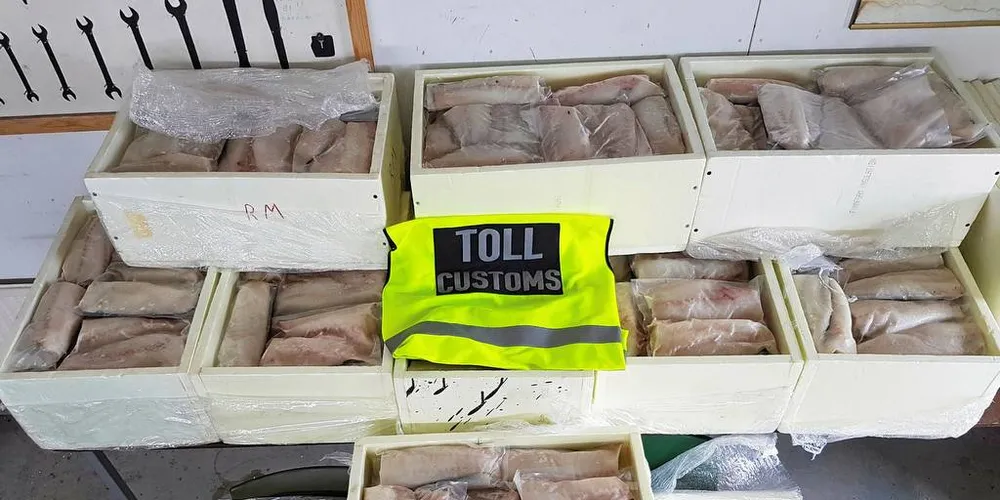 KRAFTIG ØKNING: Det har vært en kraftig økning i beslag av smuglerfisk de to siste årene. Her et beslag på 311 kilo gjort på grenseovergangen Kivilompolo i Finnmark.