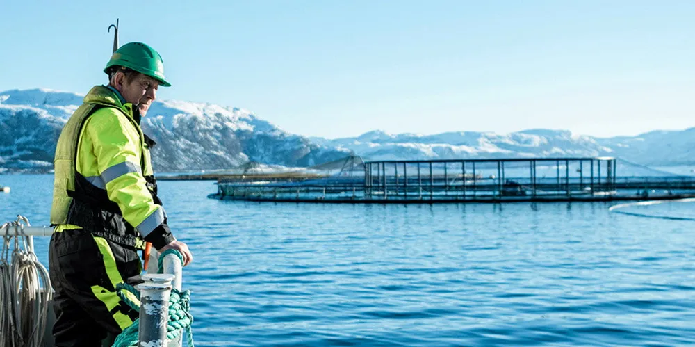 Mowi skal nå legge en plan for å begrense tapene sine i forbindelse med beslutningen kanadiske myndigheter har tatt om å begrense oppdrettsaktiviteten.
