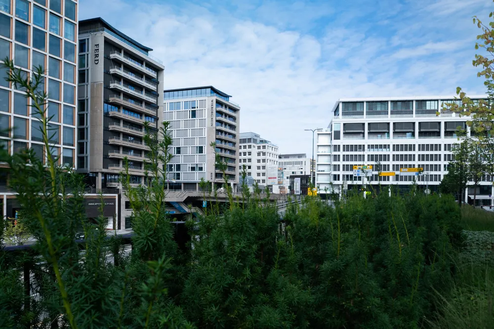 Bruket av hjemmekontor har i liten grad økt etter pandemien. Selskapenes arealbehov har steget sammen med sysselsettingen, ifølge forfatteren.