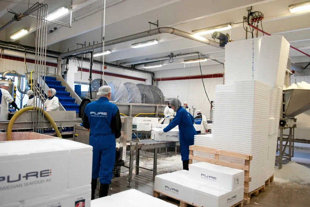 Norwegian Pure Seafood på Averøy skal slakte fisk for Nordic Halibut.