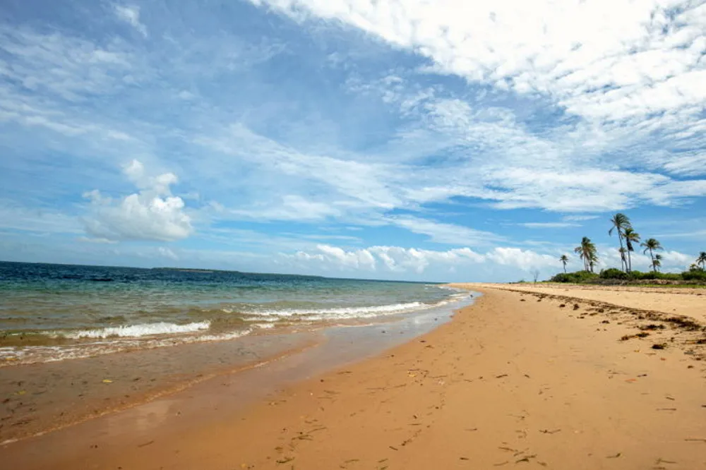 Enticing: the Tanzania coastline near Maurel & Prom’s Mnazi Bay gas field