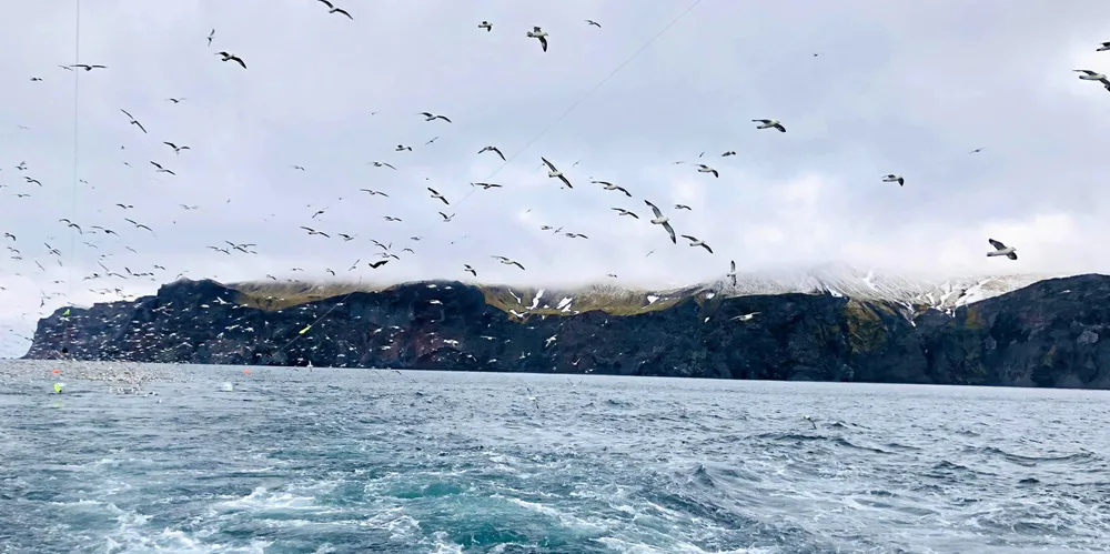 To fartøy har fått tilbud om å delta i forsøksfisket etter torsk ved Jan Mayen.